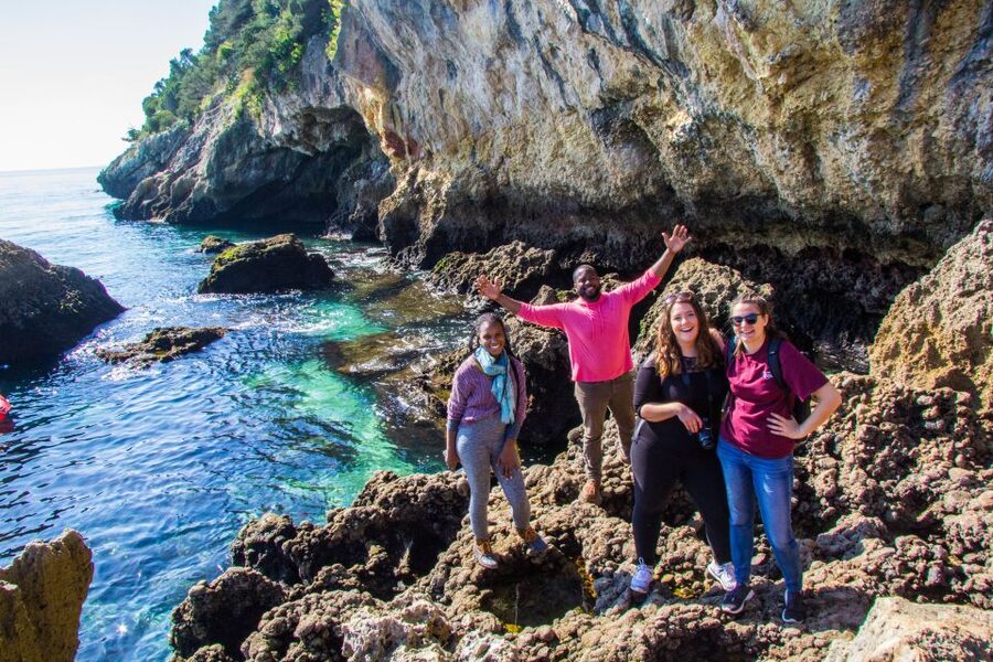 From Lisbon: Arrábida Day Tour & Wine Tasting - Lunch by the sea at a true Portuguese restaurant