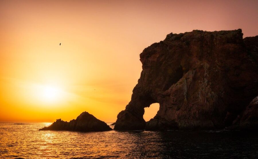 From Lisbon: Berlenga Grande Island Private Tour - Key Things I’d Highlight Before You Go