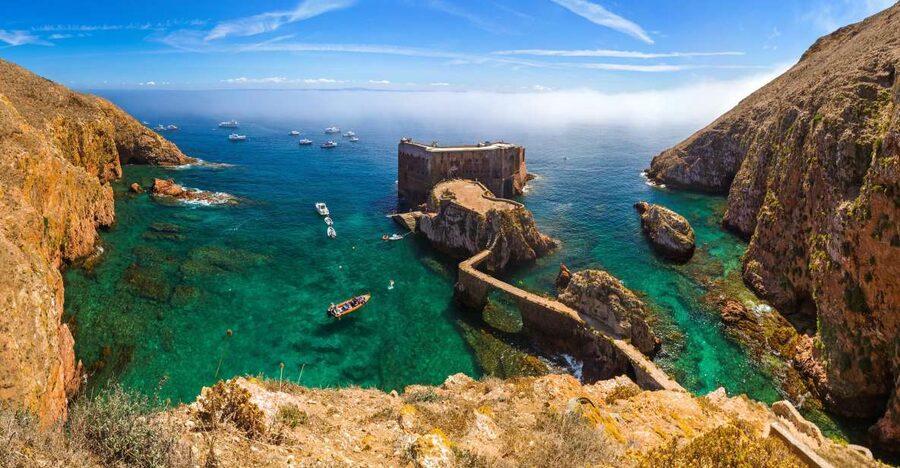 From Lisbon: Berlenga Grande Island Private Tour - Nature Reserve Walk and UNESCO Biosphere Views on the Return