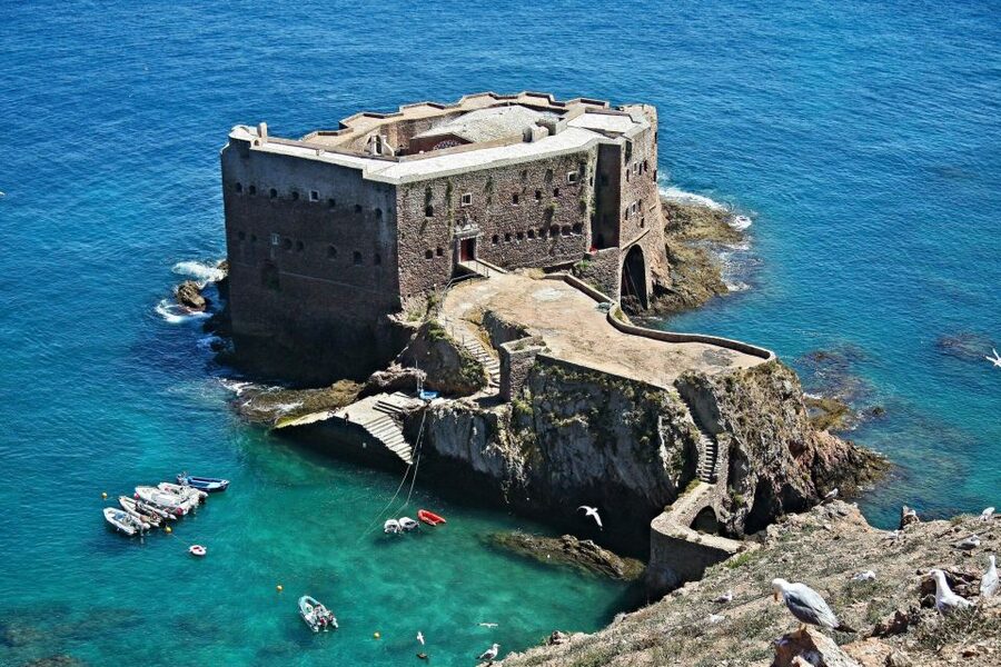 From Lisbon: Berlenga Grande Island Private Tour - Who This Tour Fits Best, and Who Might Want to Skip It