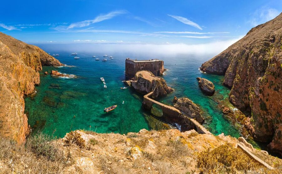From Lisbon: Berlenga Grande Island Private Tour - Berlenga Grande by Boat, Timing, Caves, and Actual Island Time