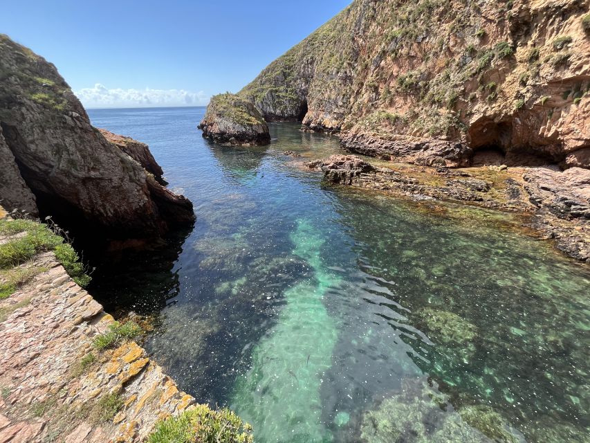 From Lisbon: Berlenga Grande Sightseeing Tour - A Key Points Snapshot Before You Go