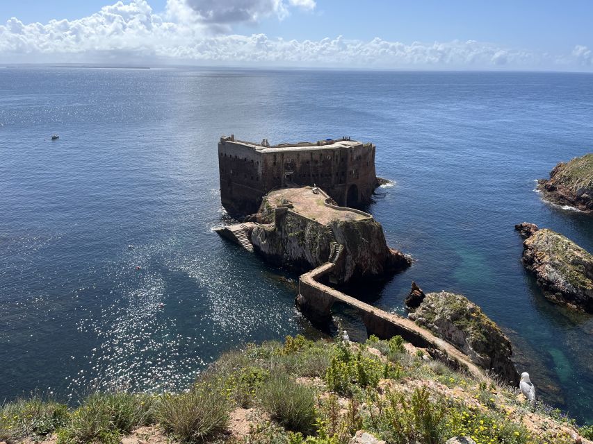 From Lisbon: Berlenga Grande Sightseeing Tour - Languages, Group Size, and Why That Matters