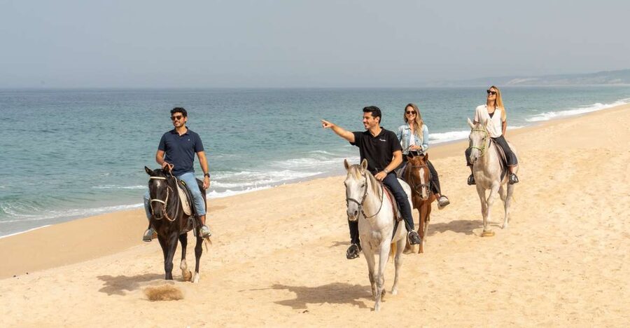 From Lisbon: Comporta and Setúbal Trip with Horseback Riding - Key highlights you will feel right away