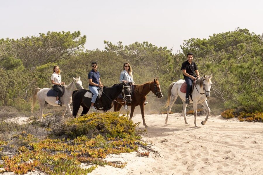 From Lisbon: Comporta and Setúbal Trip with Horseback Riding - Should you book the Lisbon to Comporta and Setúbal horseback trip?