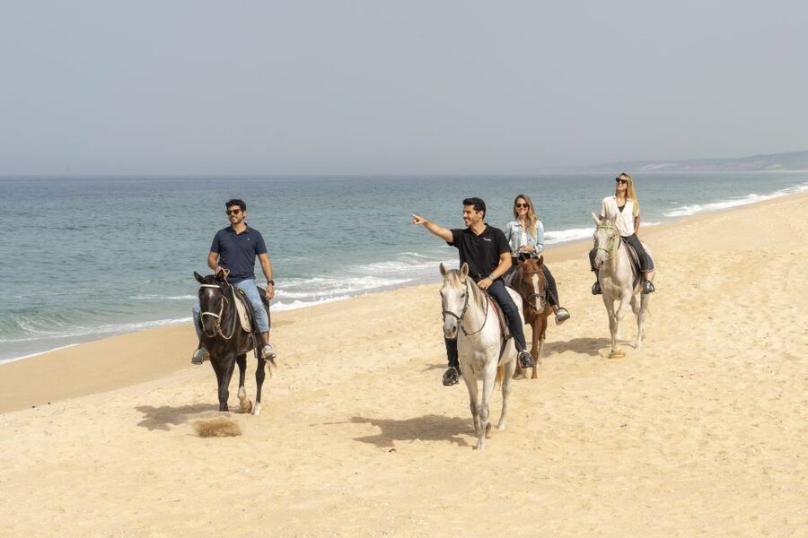 From Lisbon: Comporta and Setúbal Trip with Horseback Riding - Setúbal at street level: Mercado do Livramento and the fishing-town feel