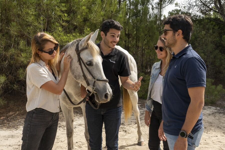 From Lisbon: Comporta and Setúbal Trip with Horseback Riding - Troia Peninsula ferry time: sea views, dunes, and the chance of dolphins
