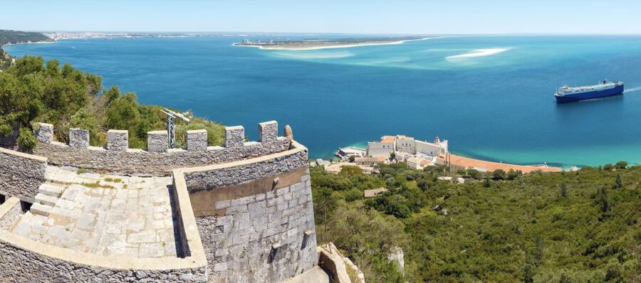From Lisbon: Comporta and Setúbal Trip with Horseback Riding - Comporta horseback riding: from rice fields and pine woods to the beach