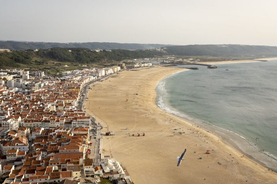 From Lisbon: Day Trip to Porto, Óbidos, and Nazaré - Who this tour suits best, and who should think twice