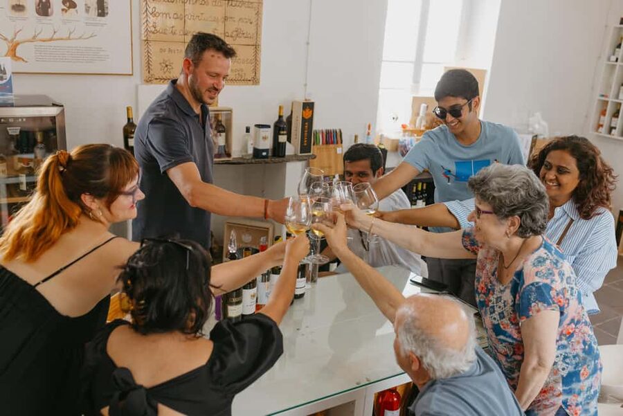 From Lisbon: Évora and Monsaraz Day Tour with Wine Tasting - Who this tour is best for, and who should skip it