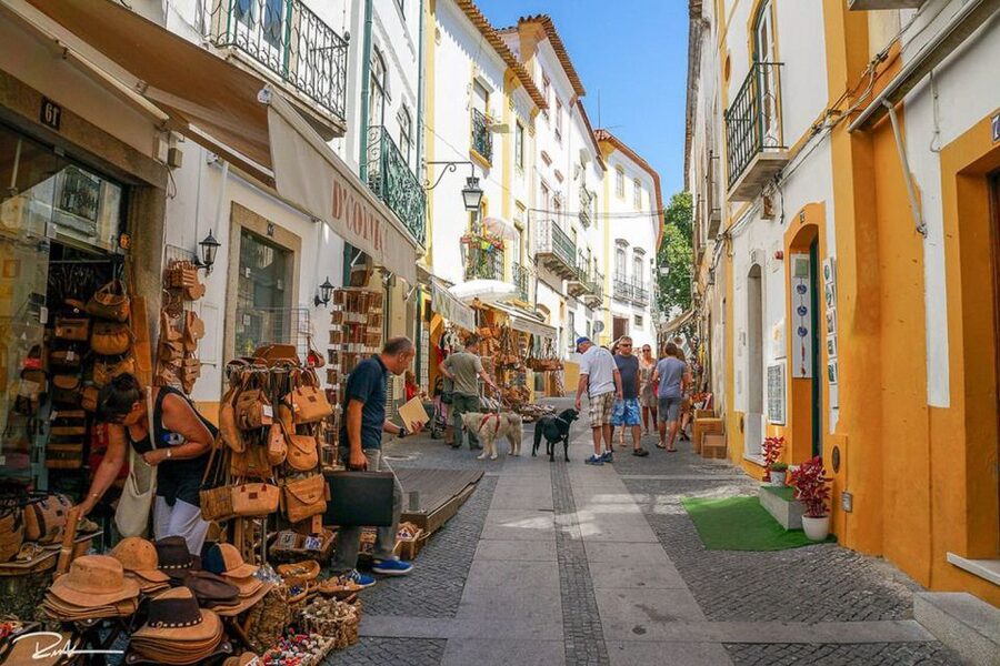 From Lisbon: Évora City Private Tour - Lunch, entrances, and the parts you’ll pay for yourself