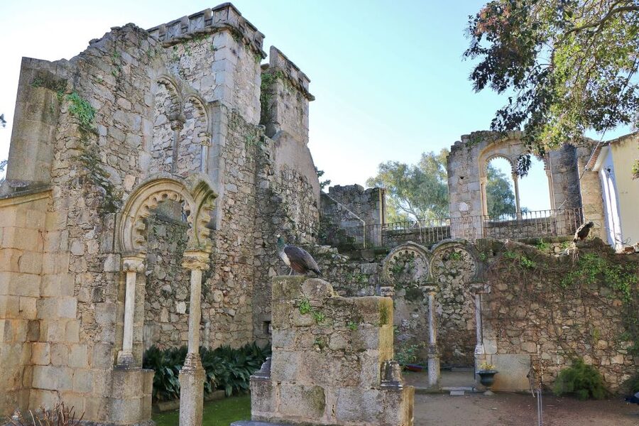 From Lisbon: Évora Private Historic Discovery Tour - Key highlights worth planning for