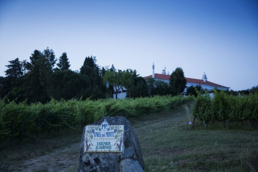 From Lisbon: Évora Wine & Heritage Tour - Évora center time: markets, local ingredients, and your lunch decision