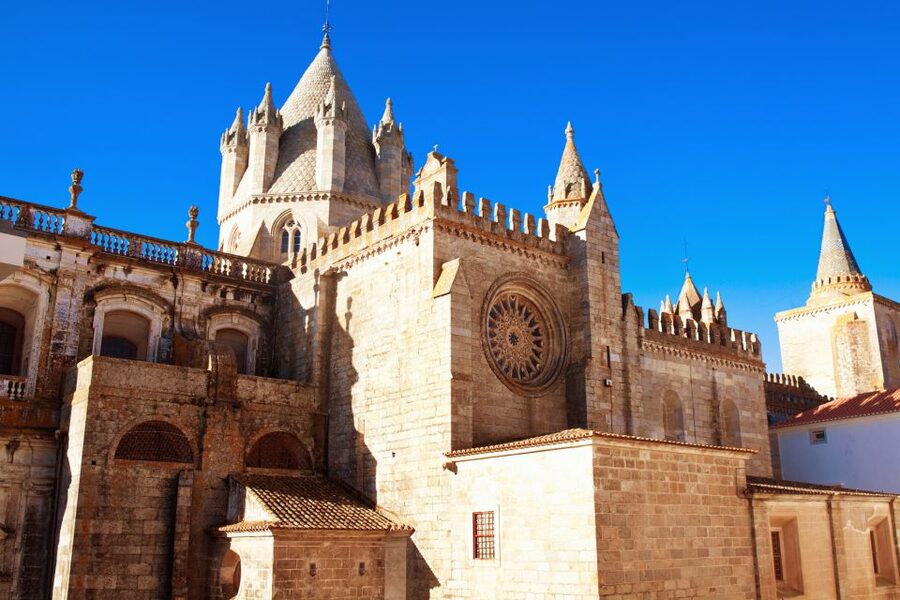 From Lisbon: Évora Wine & Heritage Tour - Wine tasting in a traditional cellar: the part you’ll likely talk about later