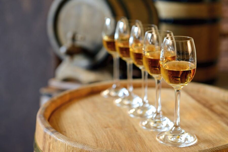 From Lisbon: Évora Wine & Heritage Tour - Meeting Gray Line Portugal and preparing for a long day