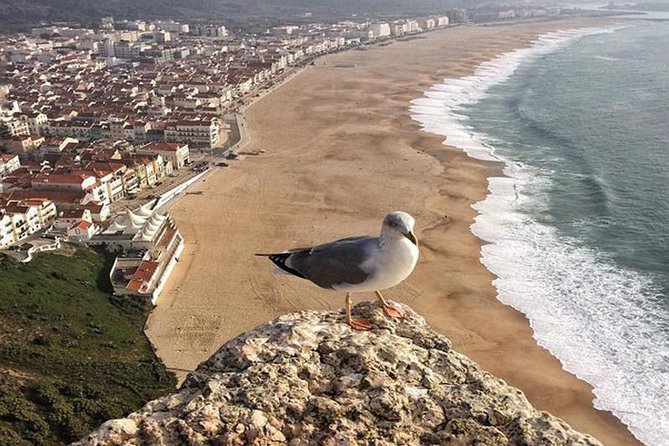 From Lisbon: Fatima Batalha Nazare & Obidos Small Group Day Trip - Fátima’s Basilica and Sanctuary: how to make your 1.5 hours count