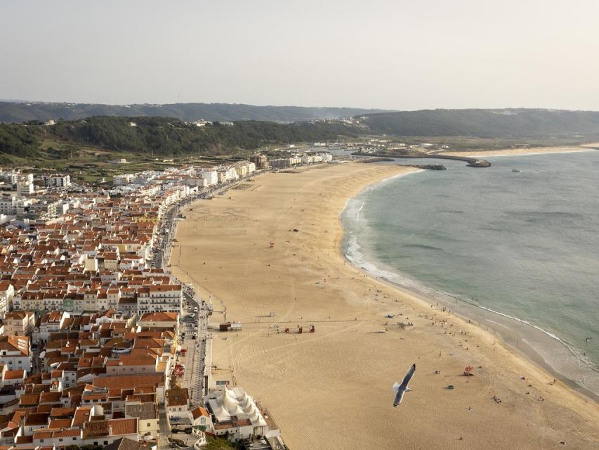 From Lisbon: Fátima, Nazaré and Sintra Guided Tour - Key things that make this tour worth your day