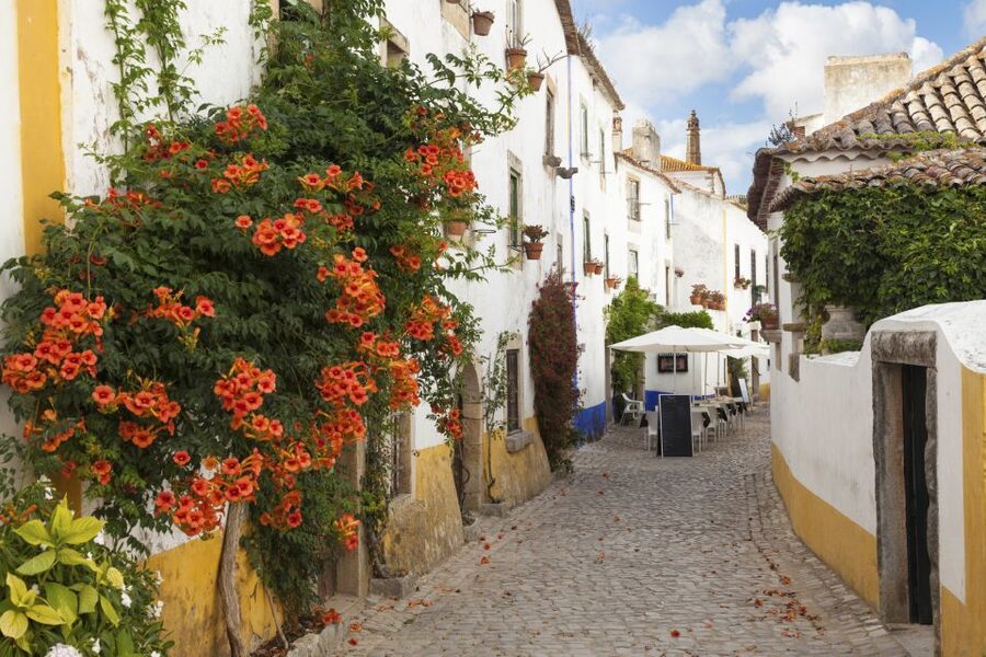 From Lisbon: Fátima, Óbidos Medieval, Nazaré Atlantic Coast - Guides, pace, and the small-group feel that makes days easier