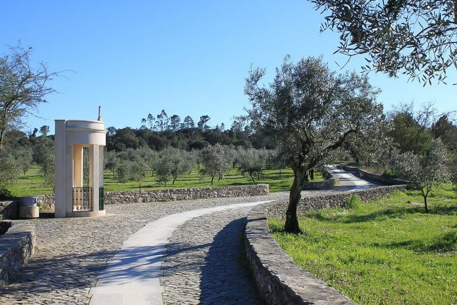 From Lisbon: Fatima Sanctuary Private Day Tour - Why a Lisbon to Fatima day feels worth the drive