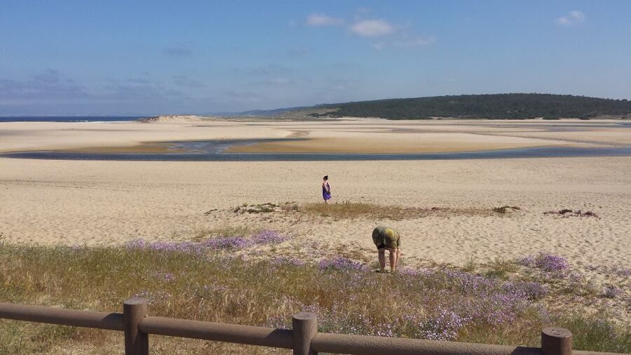 From Lisbon: Half-Day Arrábida Tour w/ Transfers - Hotel pickup, private van, and how you keep the day smooth