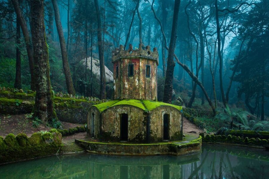 From Lisbon: Half-Day Private Sintra Cascais Tour - Private guide quality is the real value