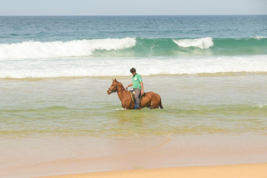 From Lisbon: Horseback Riding on Comporta Beach - Why Comporta Beach Horseback Riding Feels More Like an Escape
