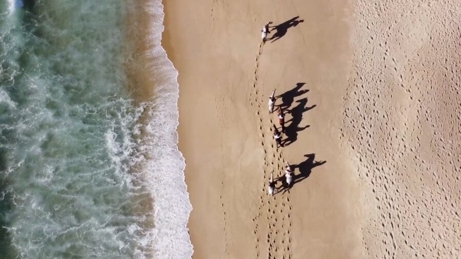 From Lisbon: Horseback Riding on Comporta Beach - Who Should Book This Ride, and Who Should Skip It