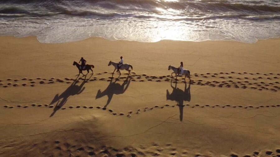 From Lisbon: Horseback Riding on Comporta Beach - Lisbon to Comporta: Travel Time, Pace, and What to Expect