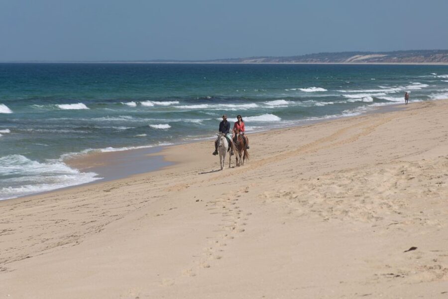 From Lisbon: Horseback Riding on Comporta Beach - Two Hours on Comporta’s Sand: Dunes, Ocean Views, and a Calm Kind of Wild