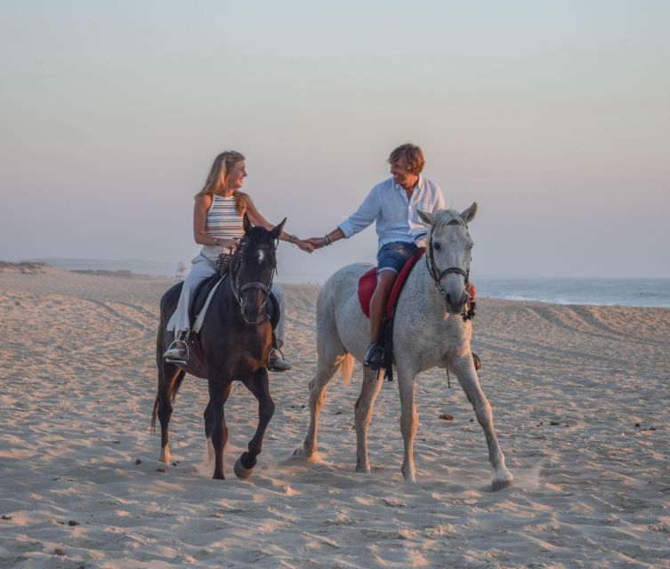 From Lisbon: Horseback Riding on Comporta Beach - How the Tour Keeps You Safe and Comfortable (Without Turning It Into a Classroom)