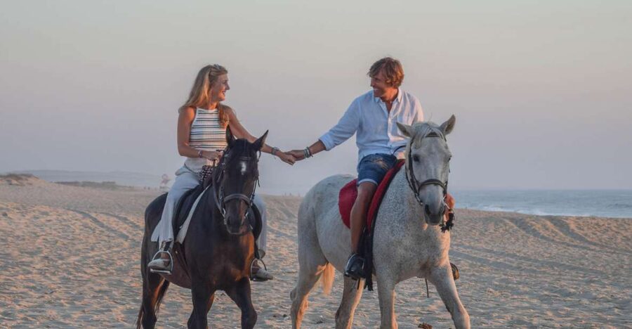 From Lisbon: Horseback Riding on Comporta Beach - Starting in the Atlantic Forest: The Warm-Up That Makes the Ride Easier