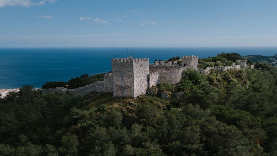 From Lisbon or Sesimbra: 4x4 Tour to Cape Espichel - Arrábida National Park: biodiversity and wildlife-spotting moments