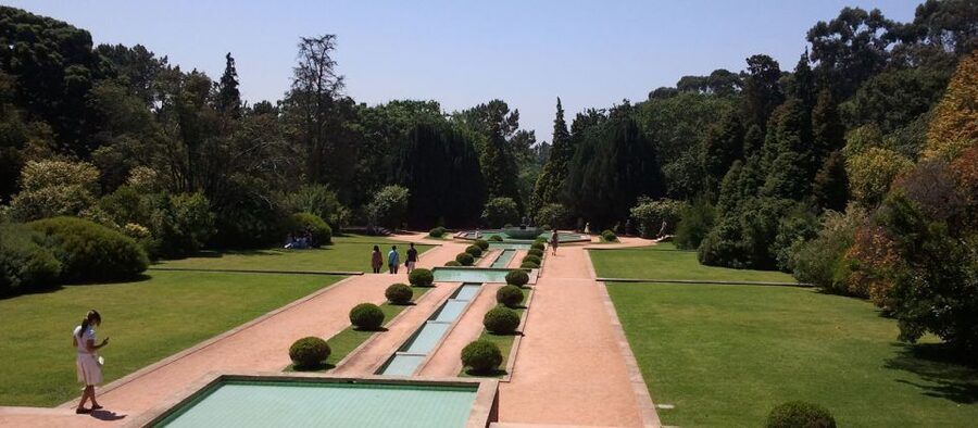 From Lisbon: Porto Private Full-Day Tour - Serralves Park and the Museum Area: Old City, Then Modern Contrast