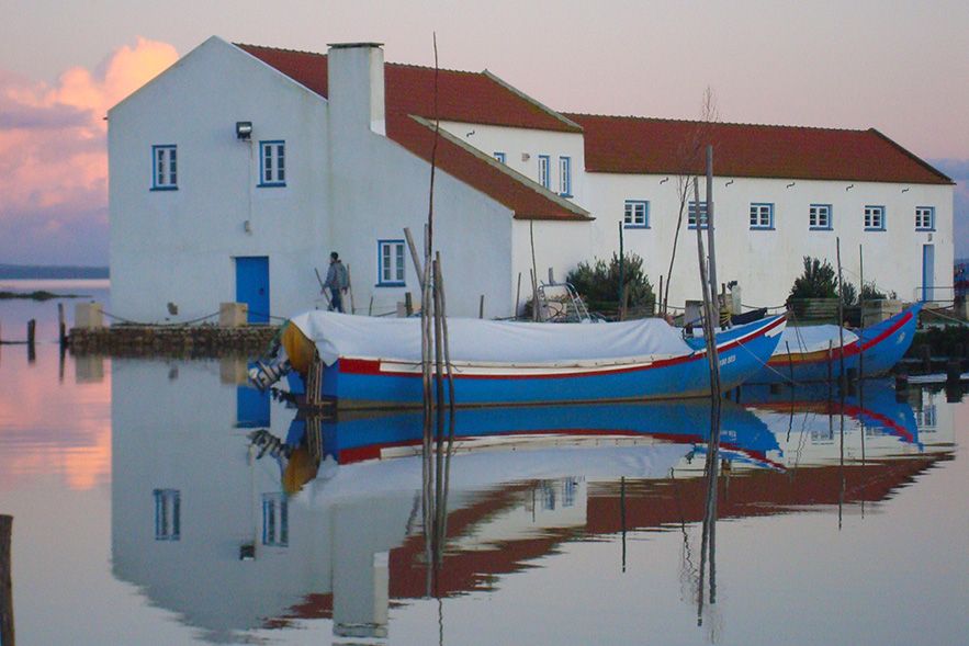 From Lisbon: Private Scenic Wine Tour in Arrabida - Who should book this tour, and who might prefer something else