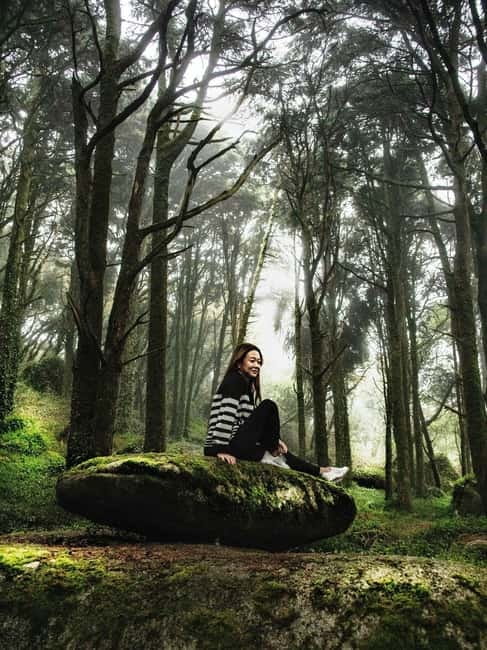 From Lisbon - Regaleira, Cabo da Roca, Forest & True Sintra - Guides, Funky Music, and That Small-Group Comfort (Up to 12 People)