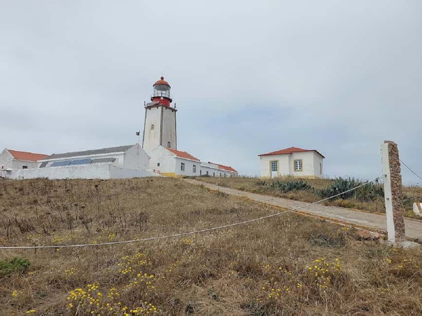 From Lisbon : Round trip to Peniche, Berlengas. - Peniche to Lisbon timing, keeping the day from feeling rushed