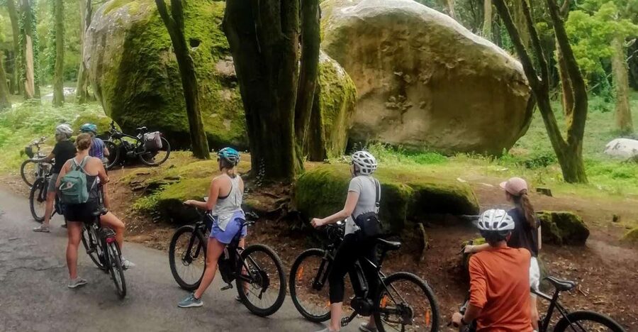 From Lisbon: Sintra and Cascais E-Bike Tour - Meeting near Santa Apolónia: a smooth start