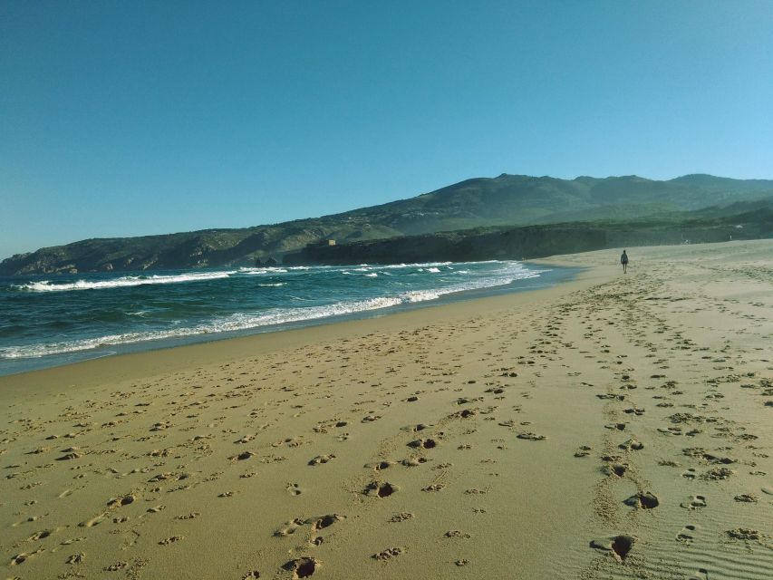 From Lisbon: Sintra and Cascais Natural Park Private Tour - Sintra Village time: a short break that still matters