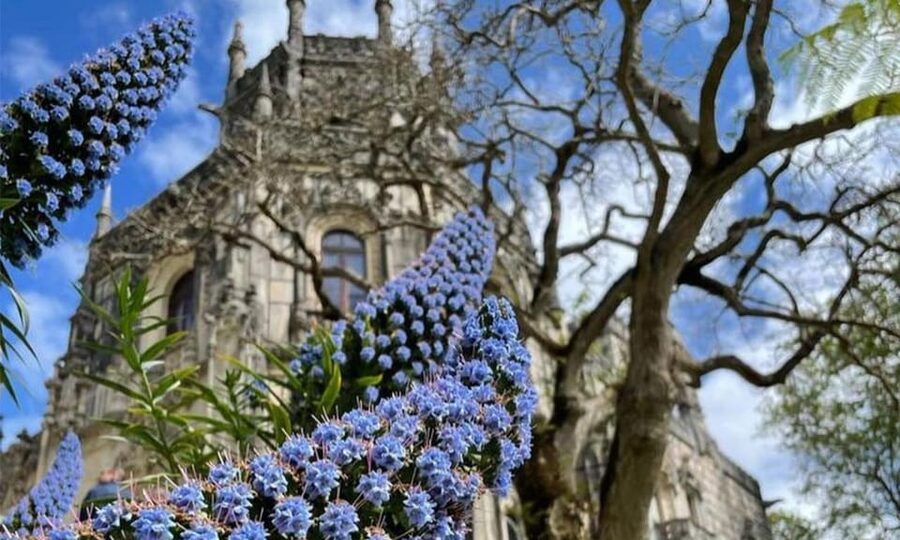 From Lisbon: Sintra, Pena Palace and Regaleira Day Trip - Value and cost: what you pay, and what you still add