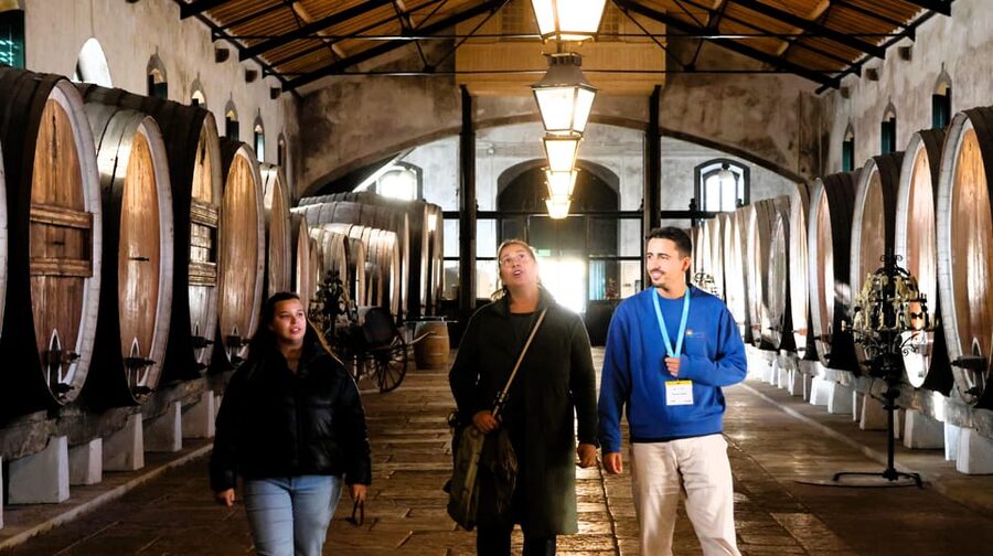 From Lisbon: Sintra, Pena Palace, Cascais and Wine Tasting - A One-Day Best-Of Sintra, Atlantic Coast, and Colares Wine Cellars