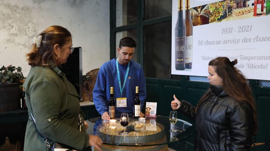 From Lisbon: Sintra, Pena Palace, Cascais and Wine Tasting - Cascais Bay and the Casino Estoril Photo Pass
