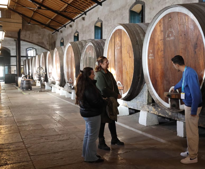 From Lisbon: Sintra, Pena Palace, Cascais and Wine Tasting - Sintra Mountains and Old Town Stroll: Why the Morning Feels Different
