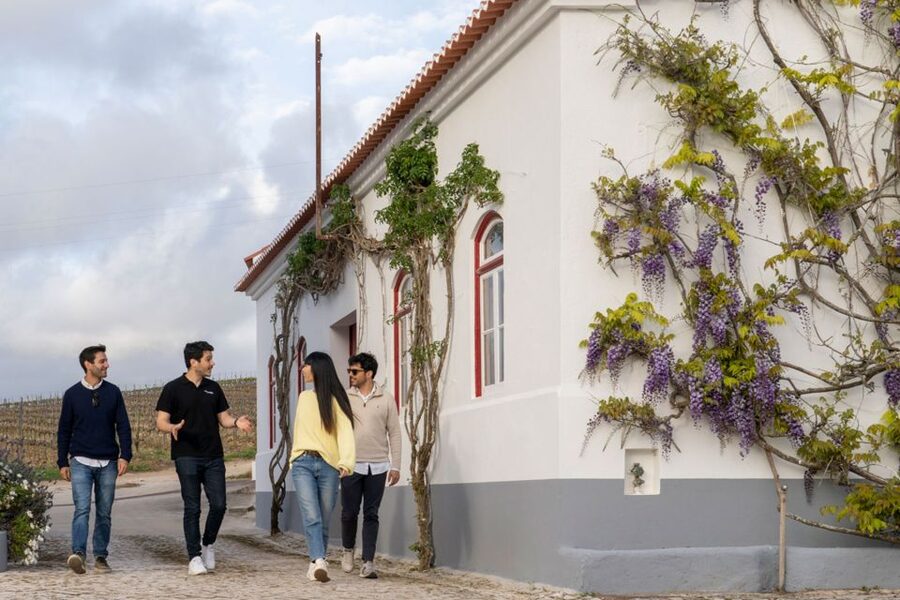 From Lisbon: Sintra & Pena Palace Day Trip with Wine Tasting - From Lisbon to Sintra: what you’ll see on the way and why the early start matters