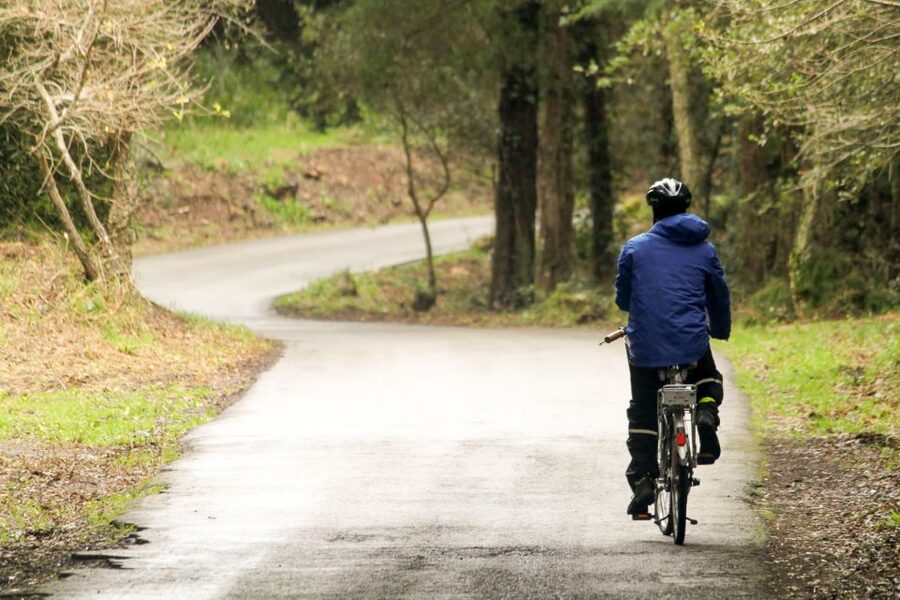 From Lisbon: Sintra to Cascais Full-Day Guided E-Bike Tour - Lunch in Azóia: When You Want Food That Isn’t a Tour Trap