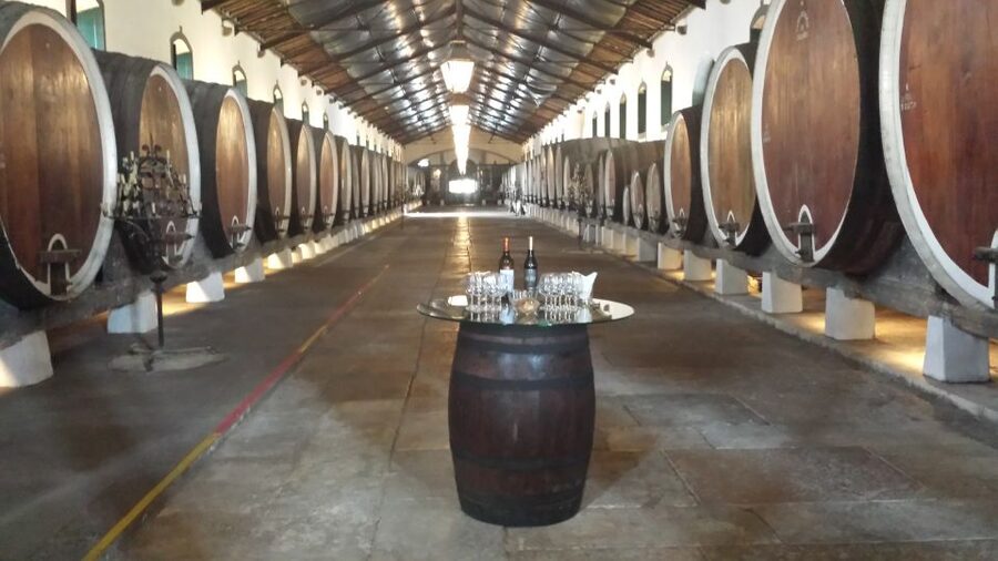 From Lisbon: Sintra Wine Experience - Historic Sintra first, so the day has context