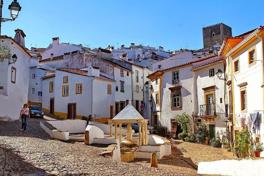 From Lisbon: Town-Hopping Transfer to Porto - Aveiro canals by Moliceiro boat, plus market time
