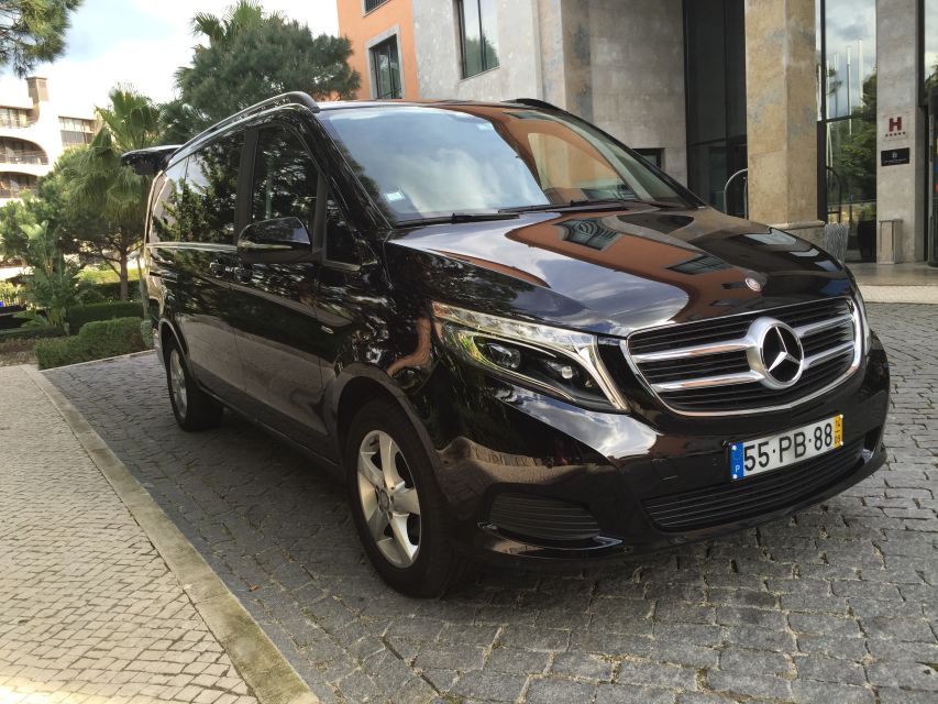 From Lisbon: Town-Hopping Transfer to Porto - Porto arrival and how to make the most of your final hours