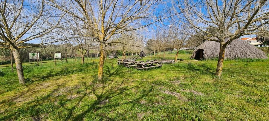 From Montemor or Évora: Guided Hike to Almendres Megalithic - Almendres Cromlech and Menhir: When the Guide Turns Stones Into a Story
