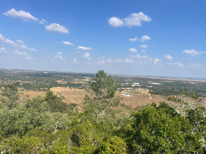 From Montemor or Évora: Guided Hike to Almendres Megalithic - Lunch in Valverde: Plan for Your Own Meal