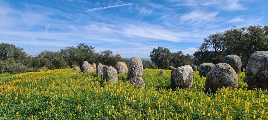 From Montemor or Évora: Guided Hike to Almendres Megalithic - What’s Included, What You Pay Extra For, and How It Adds Up